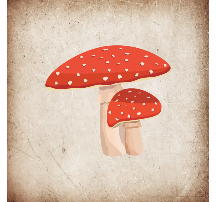 Roleta do kuchni z ilustracją muchomora amanita - TenStickers