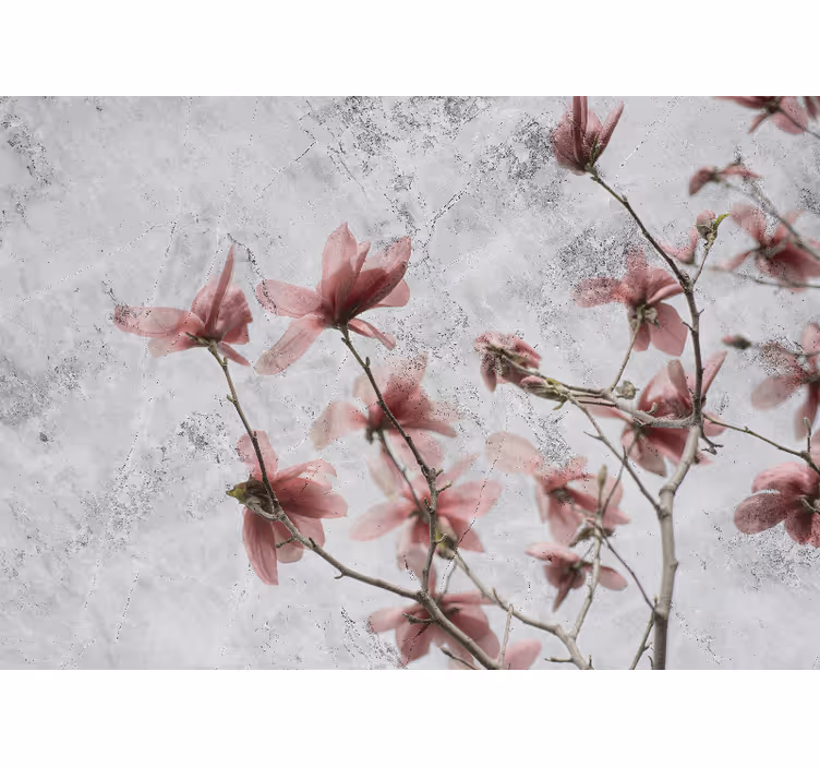 Roleta do salonu w eleganckim stylu magnolii - TenStickers