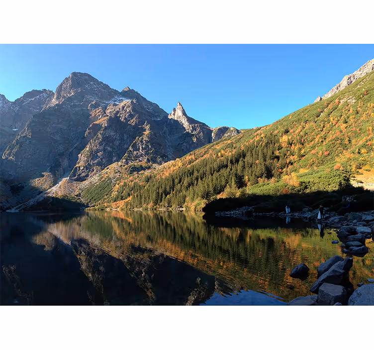 Zielona roleta morskie oko wiosną - TenStickers