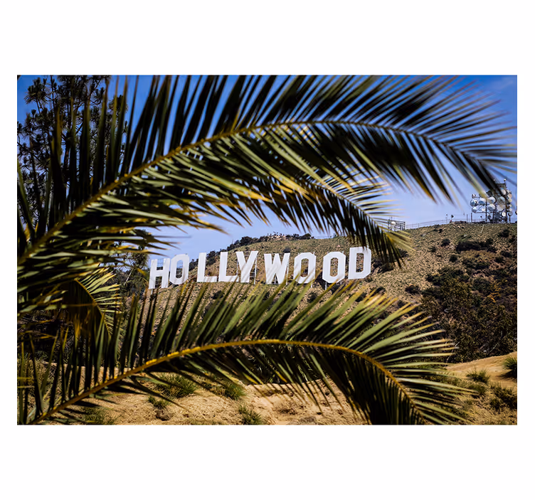Roleta do salonu znak hollywood i drzewo - TenStickers