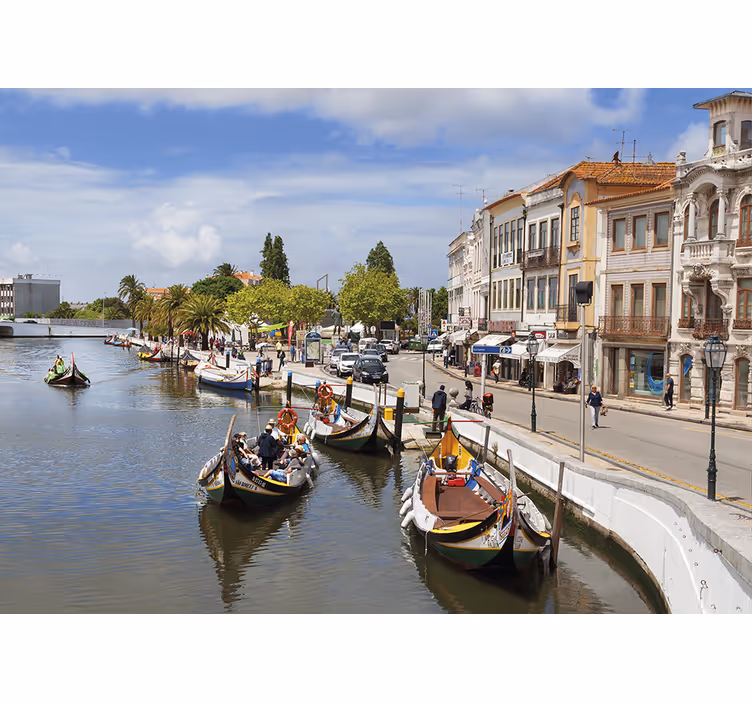 Roleta do salonu Łódź aveiro moliçeiro - TenStickers