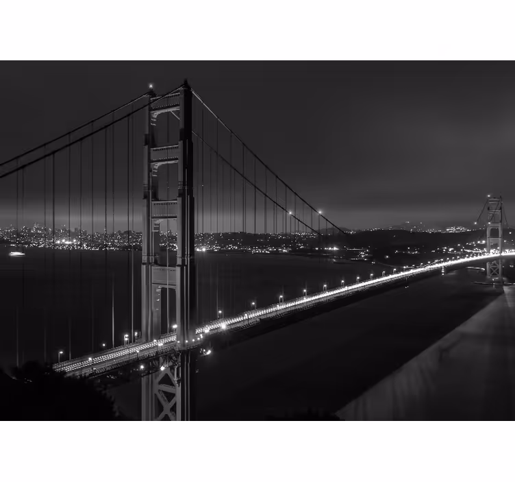Roleta do salonu most golden gate nocą w czerni i bieli - TenStickers