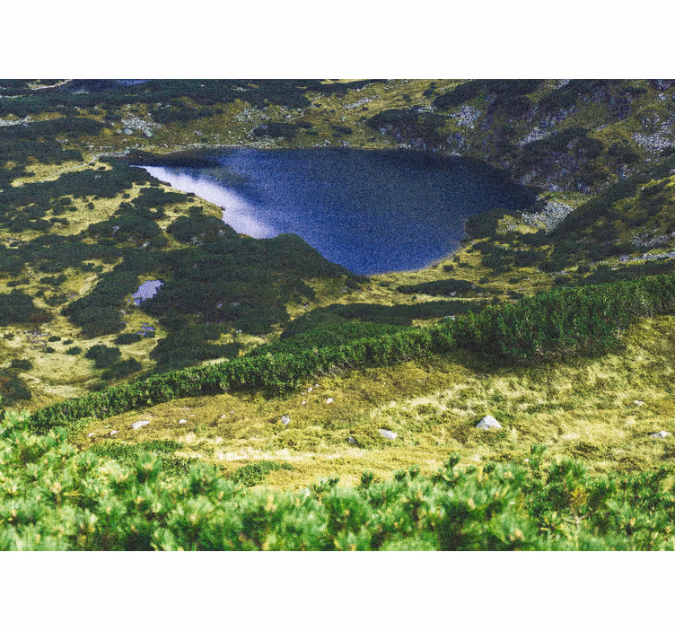 Roleta do salonu zielone polskie tatry - TenStickers