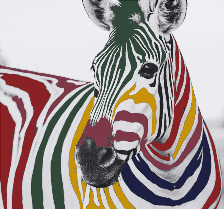 Roleta do salonu kolorowa zebra w malarstwie - TenStickers