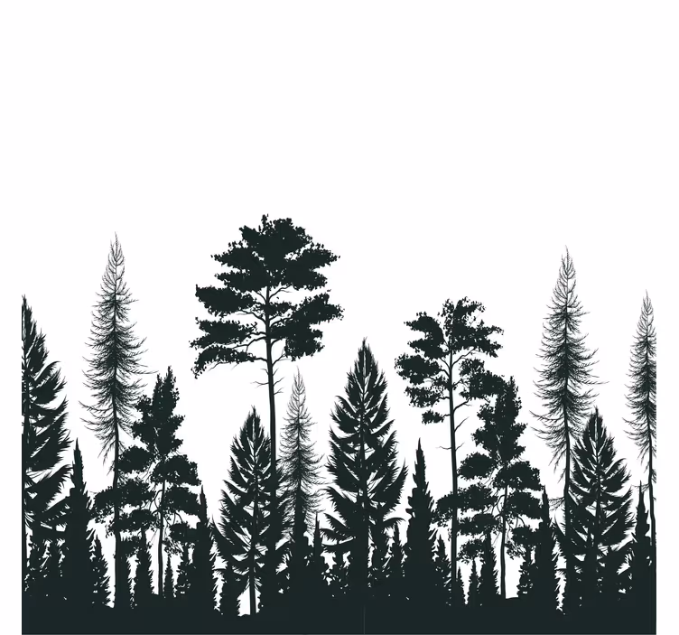 Roleta do salonu silhouette sosnowych drzew - TenStickers