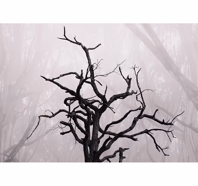Roleta do sypialni naturalne gałęzie w mgłę - TenStickers
