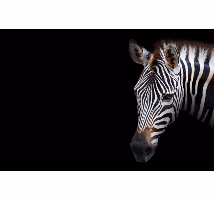 Czarna roleta w zebra w obrazku - TenStickers