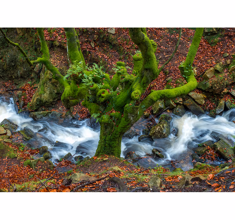 Roleta do salonu "gorbea" w stylu nowoczesnym - TenStickers
