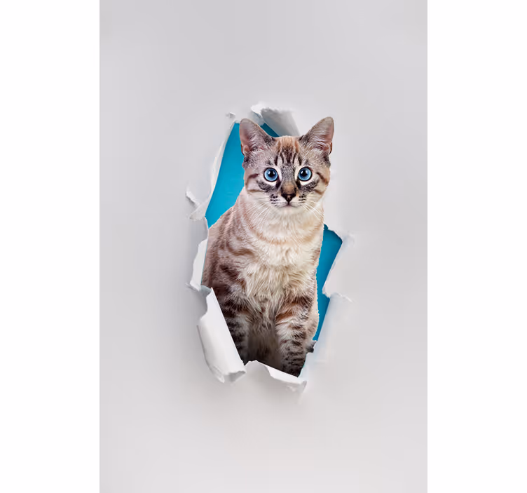 inne rolety w zwierzęta Kot - TenStickers