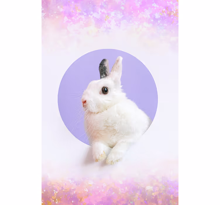 Roleta w zwierzęta portret królika - TenStickers