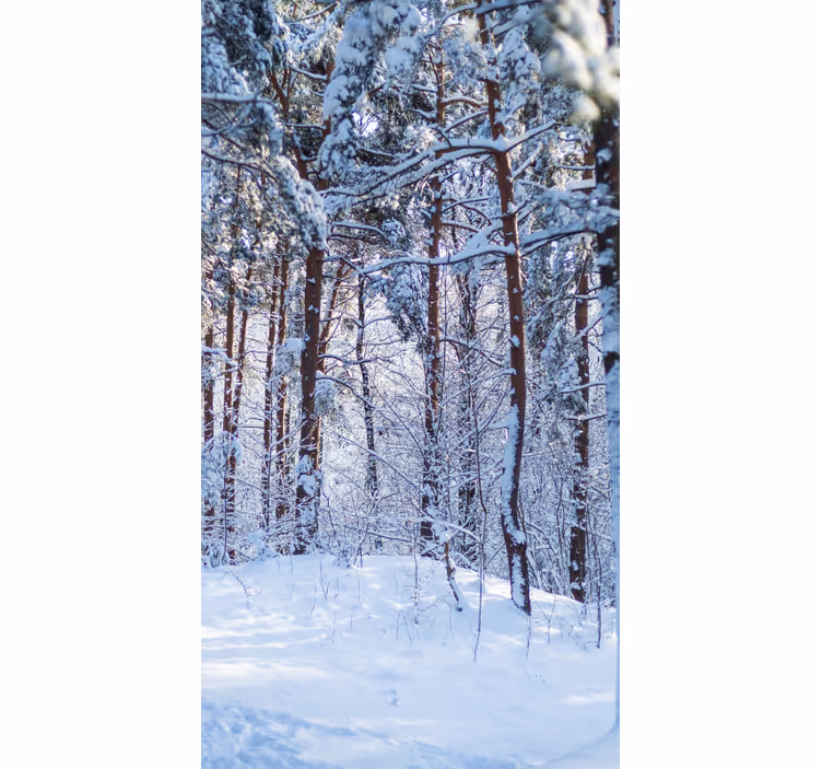 Roleta z drzewami śnieżny las sosnowy - TenStickers