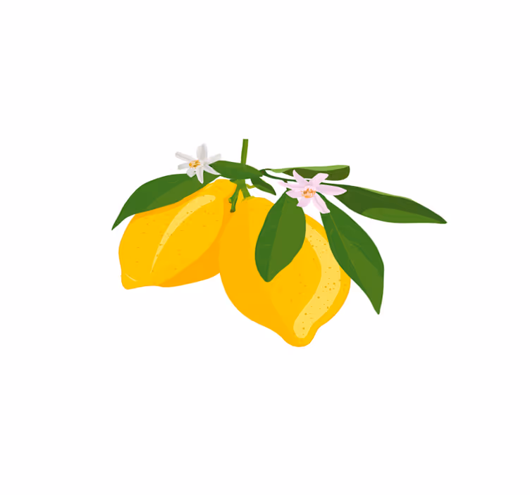 Podkładka na stół Duże rysowane cytryny - TenStickers