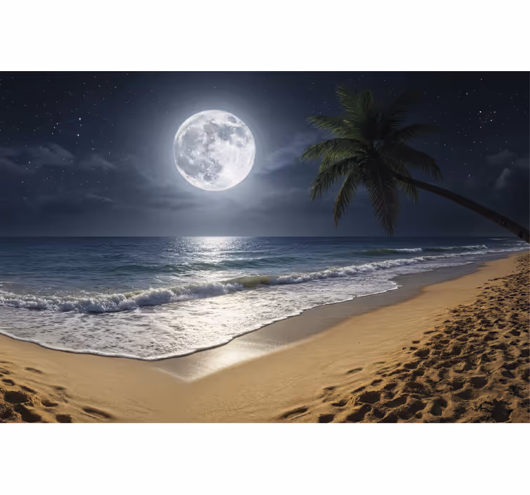 Fototapeta morze księżyc w pełni nad oceanem - TenStickers