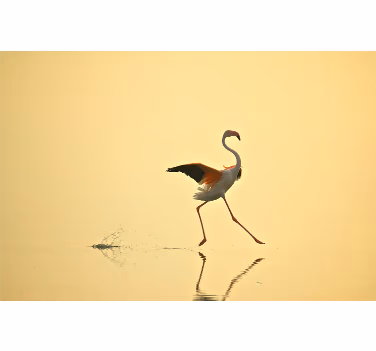 Żółta fototapeta z biegającymi flamingami - TenStickers
