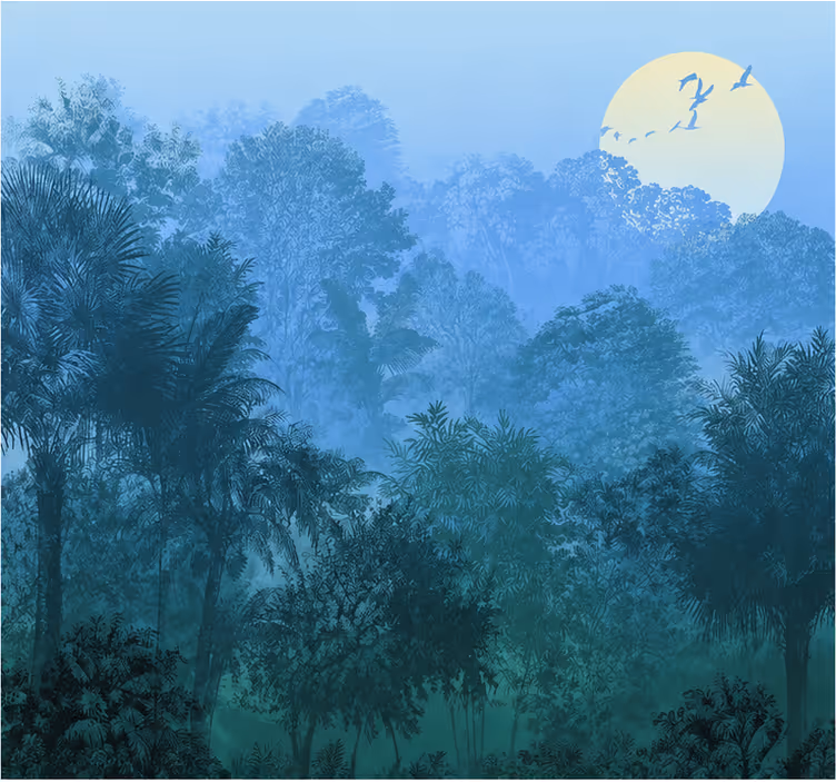 Fototapeta dżungla w naturze - TenStickers