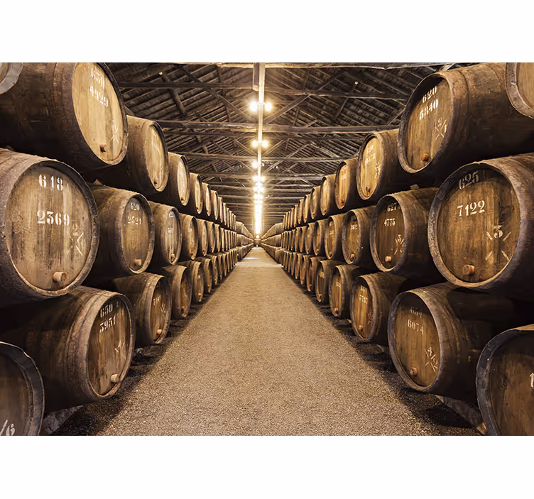 Fototapeta beczki na wino - TenStickers