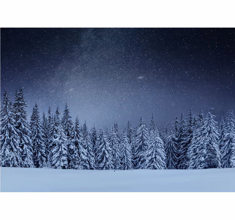 Fototapeta natura śnieżny krajobraz sosnowy - TenStickers