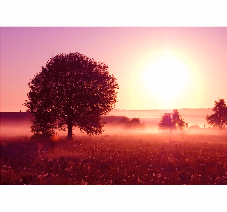 Fototapeta natura zachód słońca z sylwetką drzewa - TenStickers