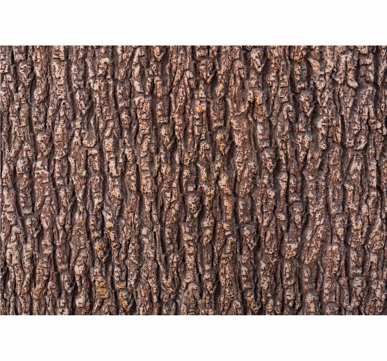 Fototapeta kamienie z teksturą kory drzewa - TenStickers