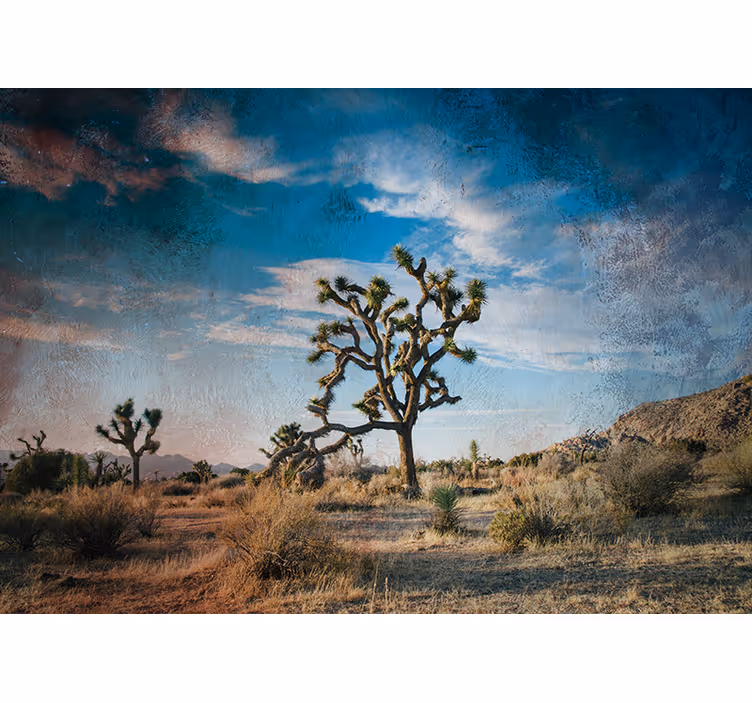 Fototapeta natura krajobraz drzewa jozuego - TenStickers