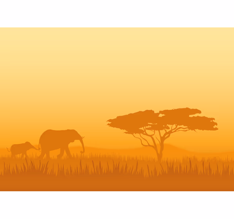 Fototapeta zwierzęta słonie na safari - TenStickers