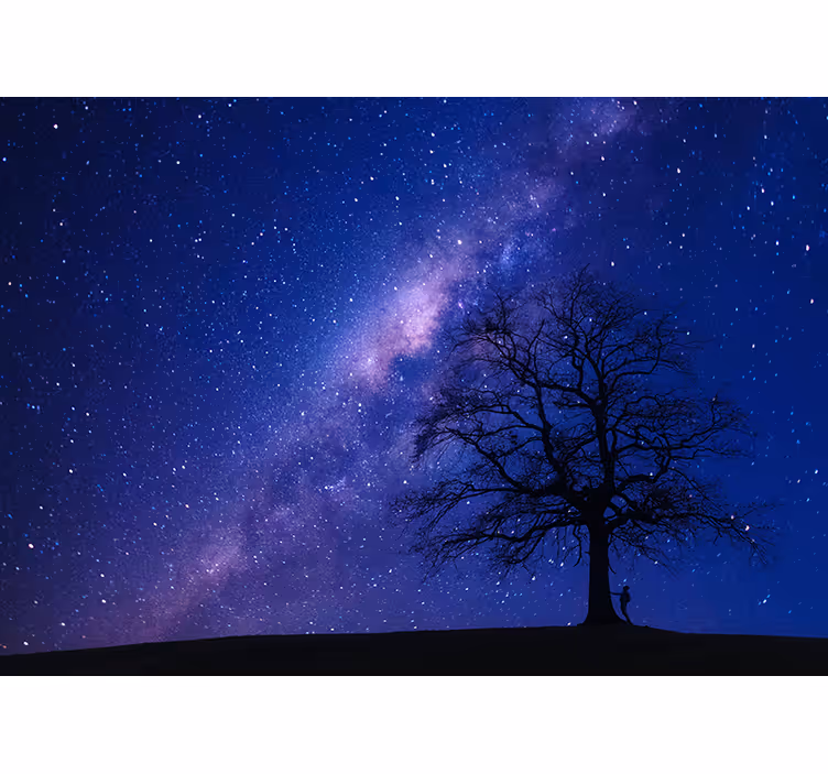 Fototapeta kosmos astralny widok nocny - TenStickers