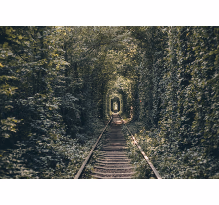 Fototapeta krajobraz leśna ścieżka tunelowa - TenStickers
