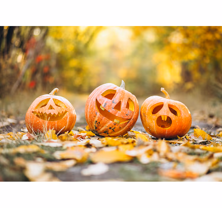 Fototapeta Halloween rzeźbione twarze z dyni - TenStickers