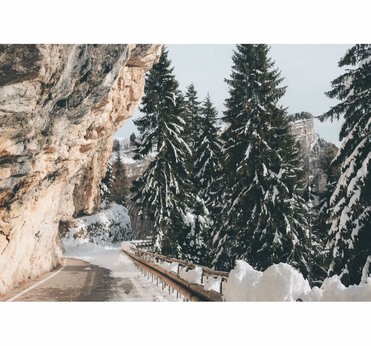 Fototapeta krajobraz zimowy pejzaż sosnowy - TenStickers