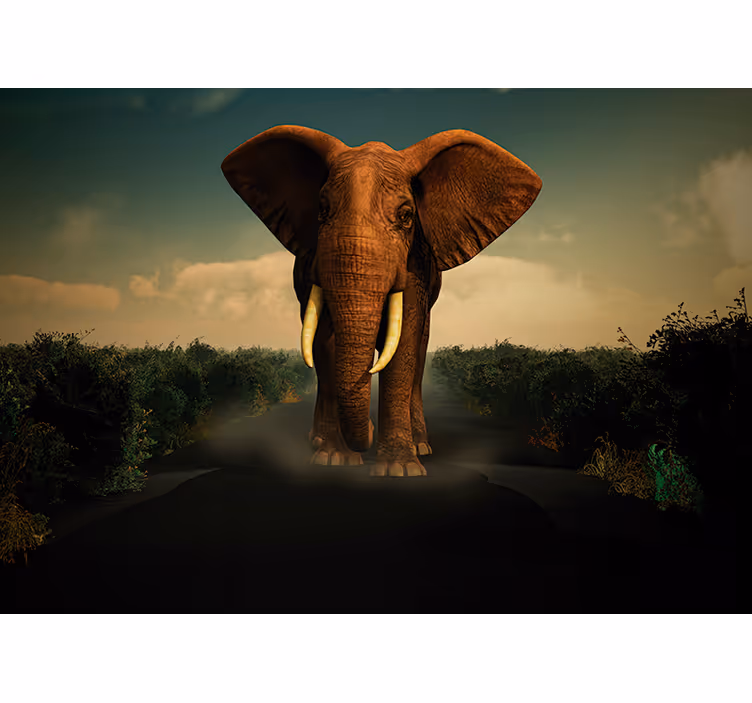 Fototapeta zwierzęta elefant majestatyczny - TenStickers