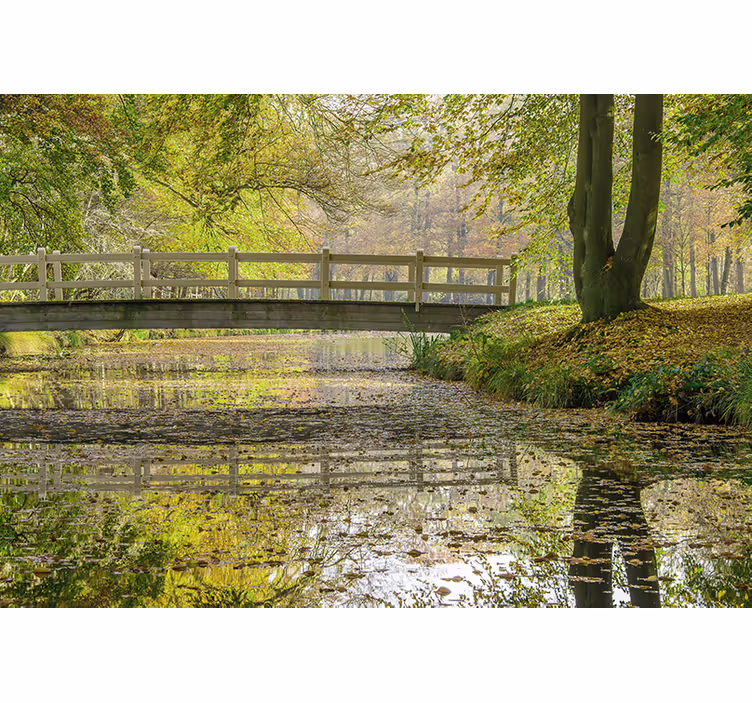 Fototapeta natura spokojny most rzeczny - TenStickers