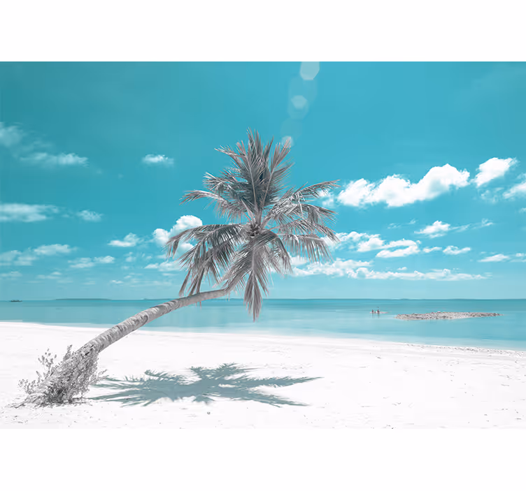 Fototapeta plaża z pochyloną palmą morze - TenStickers