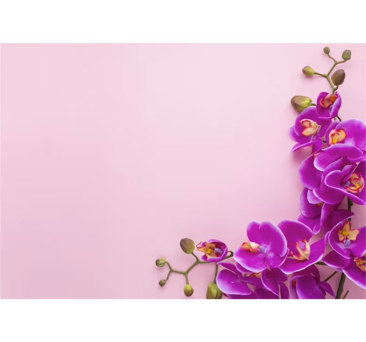 Fototapeta orchidea - kwiatowy układ orchidei - TenStickers