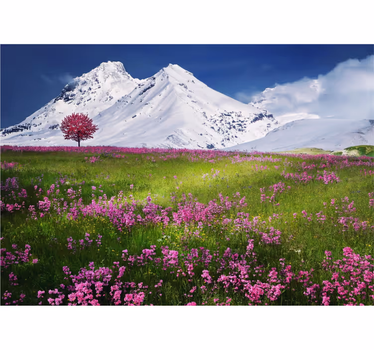 Fototapeta natura kwitną śnieżne góry - TenStickers