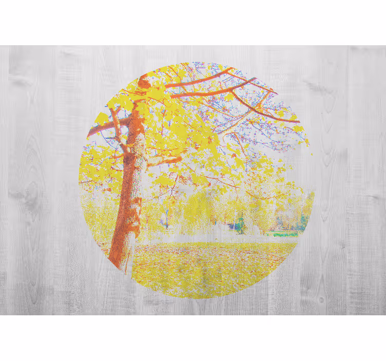 Fototapeta natura scena drzewa jesiennego - TenStickers