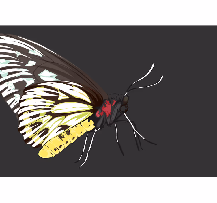 Fototapeta żółty motyl projekt - TenStickers