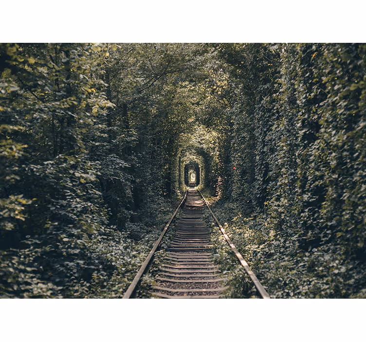 Fototapeta krajobraz tunel kolejowy w naturze - TenStickers