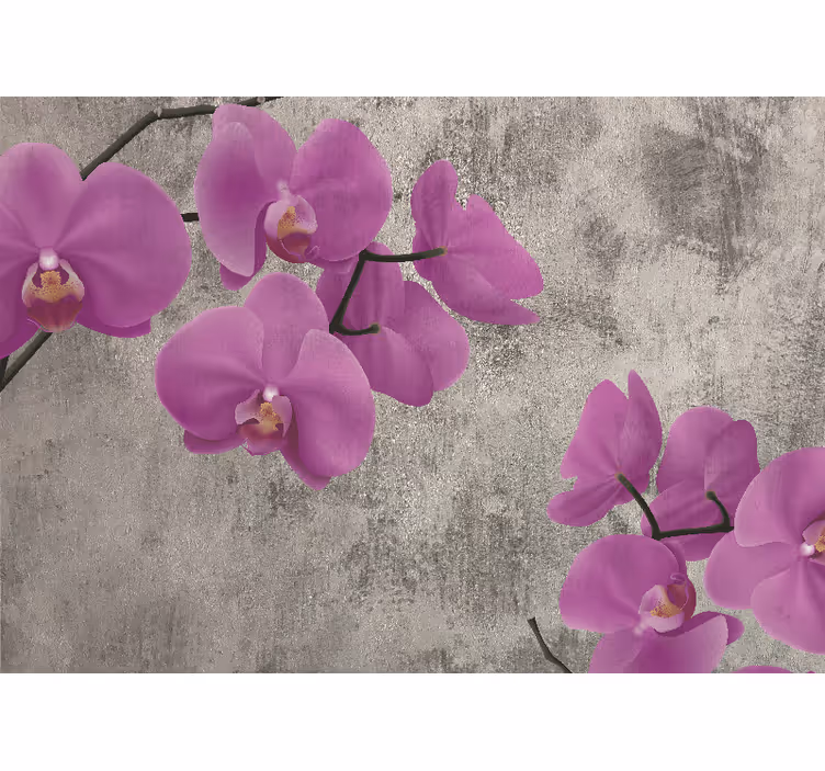 Fototapeta w kwiaty kwiaty różowych orchidei - TenStickers