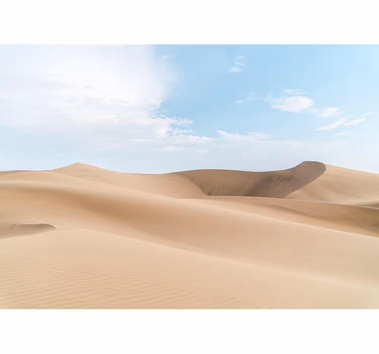 Fototapeta pustynia spokojne wydmy sand dunes - TenStickers