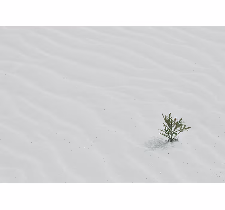 Fototapeta natura piasek i zieleń - TenStickers