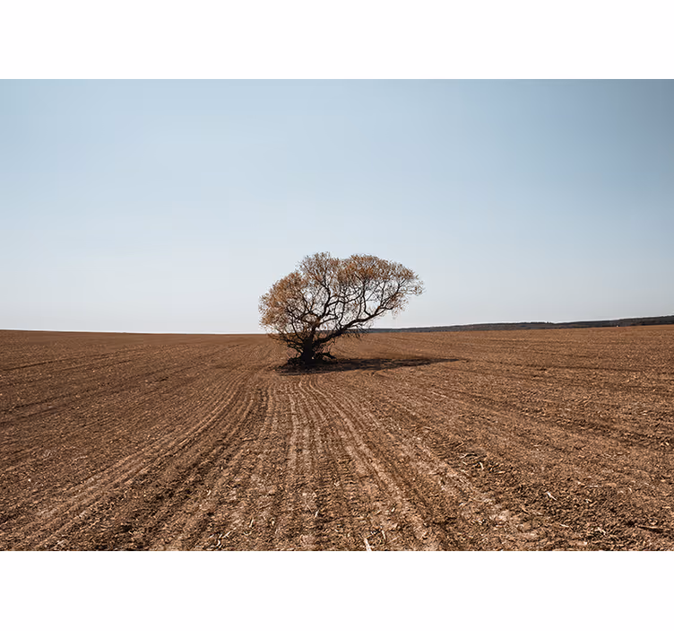 Fototapeta natura samotne drzewo w krajobrazie - TenStickers