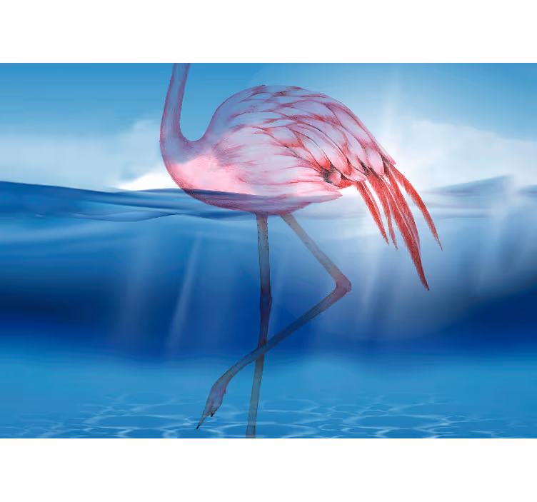 Fototapeta zwierzęta elegancki stojący flamingo - TenStickers