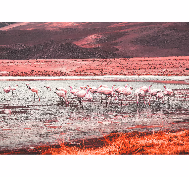 Fototapeta ze zwierzętami scena z flamingami - TenStickers