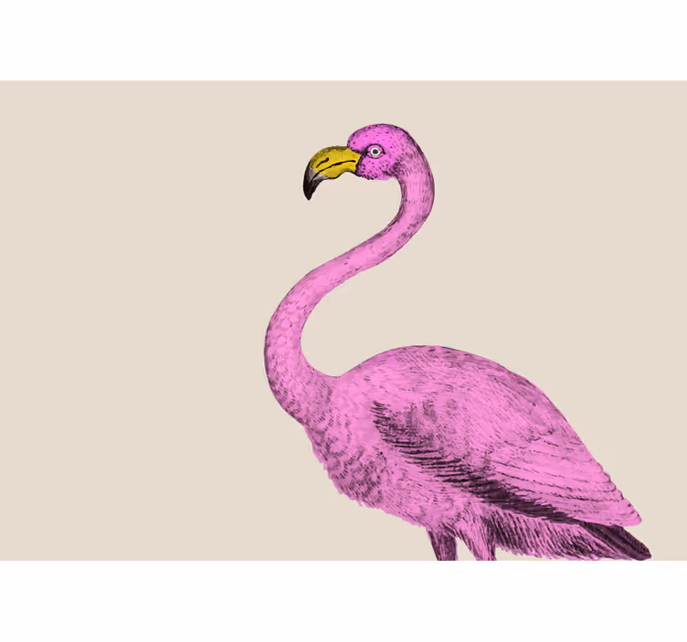 Fototapeta zwierzęta elegancja różowego flaminga - TenStickers