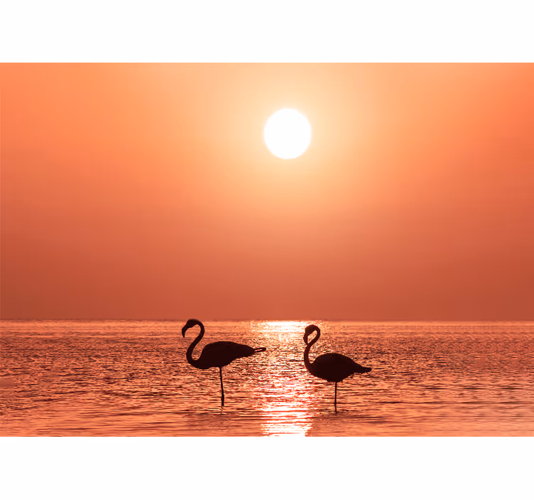 Fototapeta zwierzęta flamingi w zachodzie słońca - TenStickers