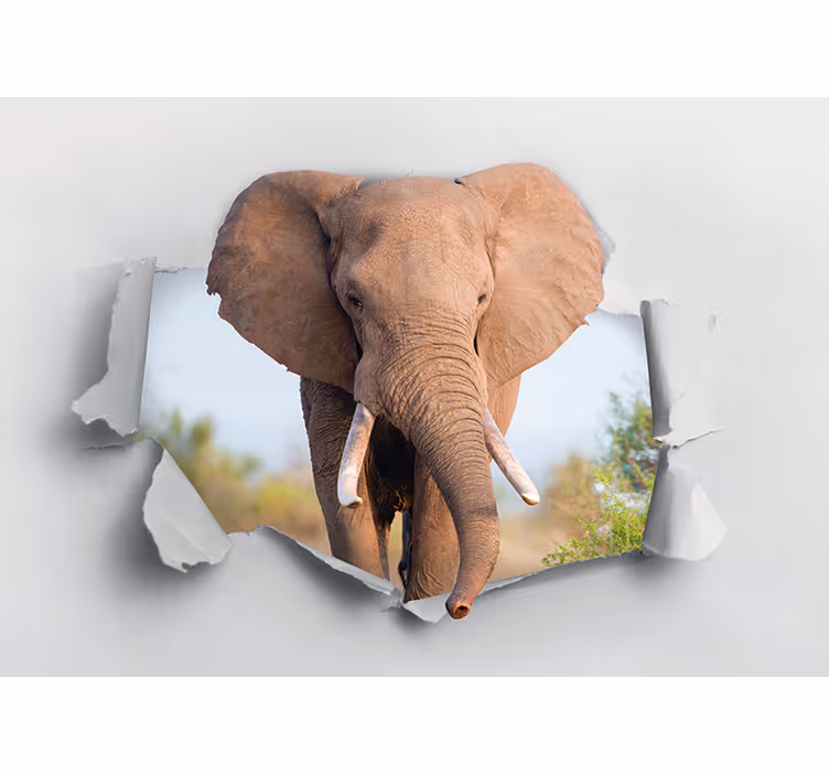 Fototapeta zwierzęta portret majestatycznego słonia - TenStickers