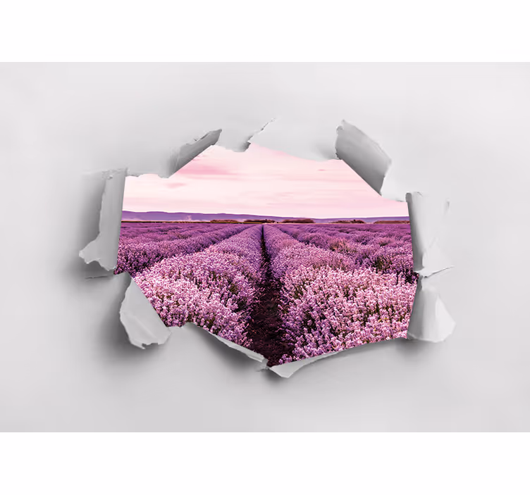 Fototapeta w kwiaty widok na lawendowe pole - TenStickers