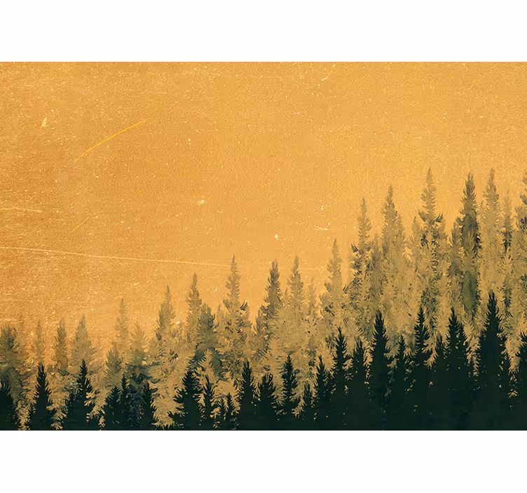 Fototapeta natura sylwetka sosny - TenStickers