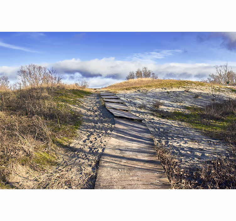 Fototapeta natura Słoneczna plaża z drewnianą ścieżką - TenStickers