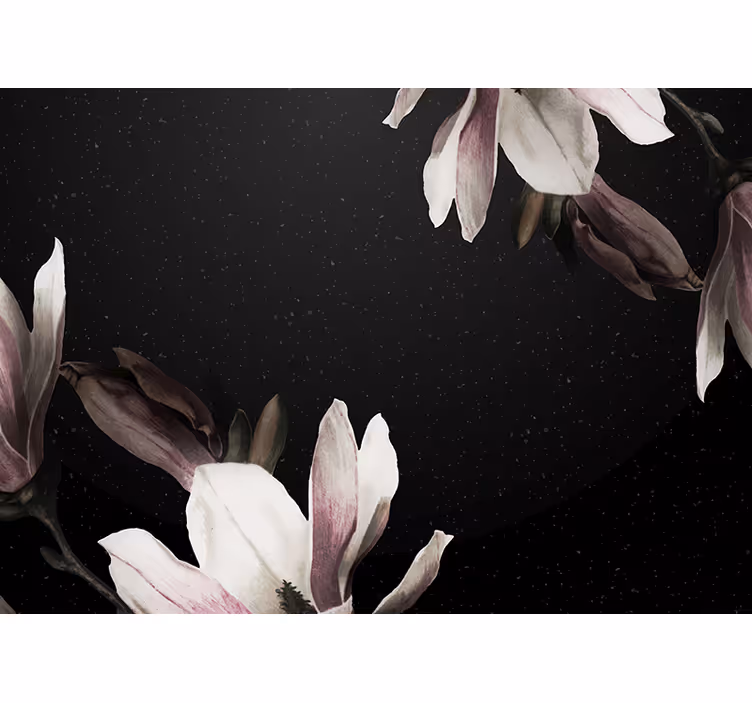 Fototapeta w kwiaty wzór kwiatów magnolii - TenStickers